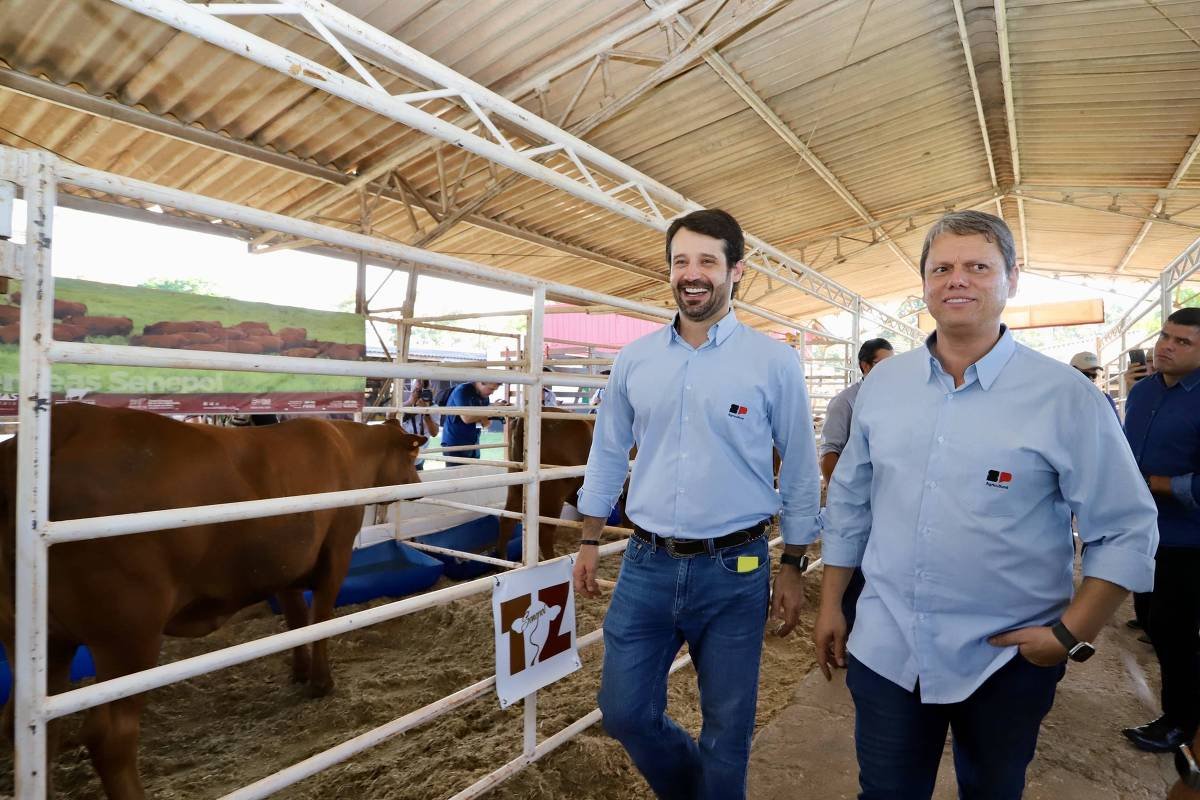🚨 MAIS ESCÂNDALOS NO GOVERNO TARCÍSIO

O MP descobriu que a Secretaria da Agricultura fez vários pagamentos irregulares e suspeitos pra empreiteiras em 2022. 

Tarcísio assumiu e o que o secretário dele foi lá e fez? Demitiu os servidores que DENUNCIARAM a corrupção. E ainda