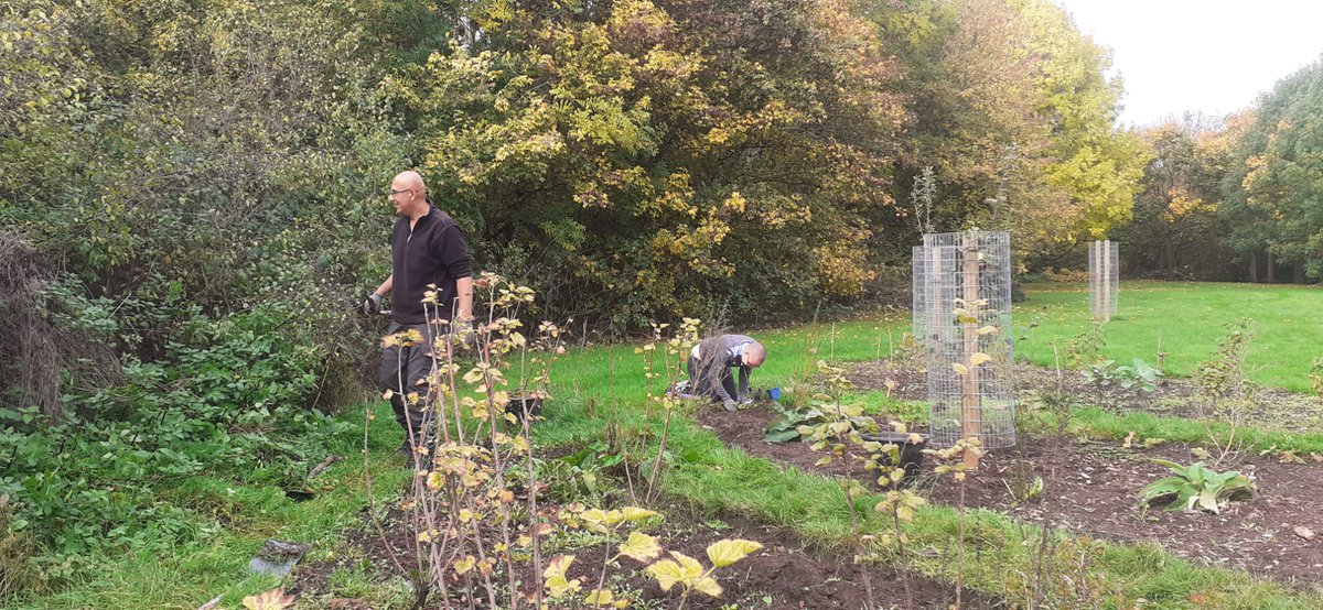 fruitnutvillage's tweet photo. A beautiful day at #SouthernDriveForestGarden #Monyhull today. #FruitAndNutVillage #DruidsHeath https://t.co/K9FfzjyN3U