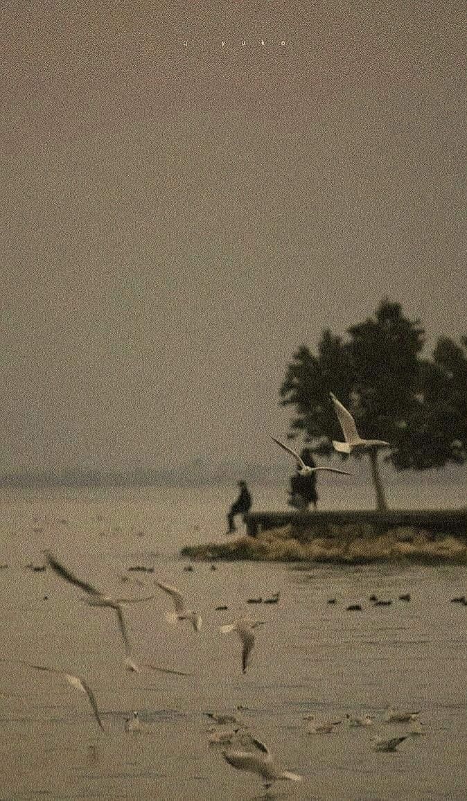 إذا لم تخاطر أبدت فلن تتغير حياتك أبدا.

مساء الخير