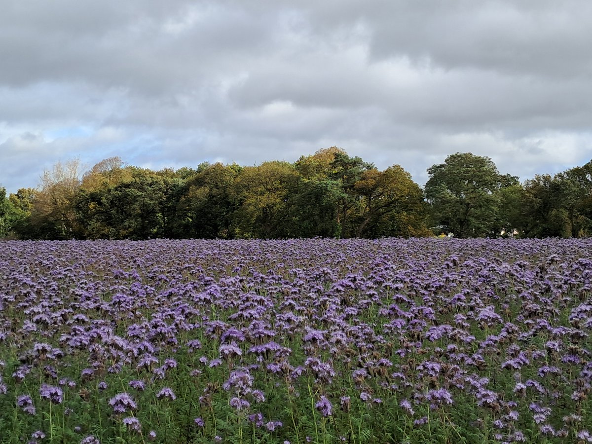 DEMEURE Solutions tweet media