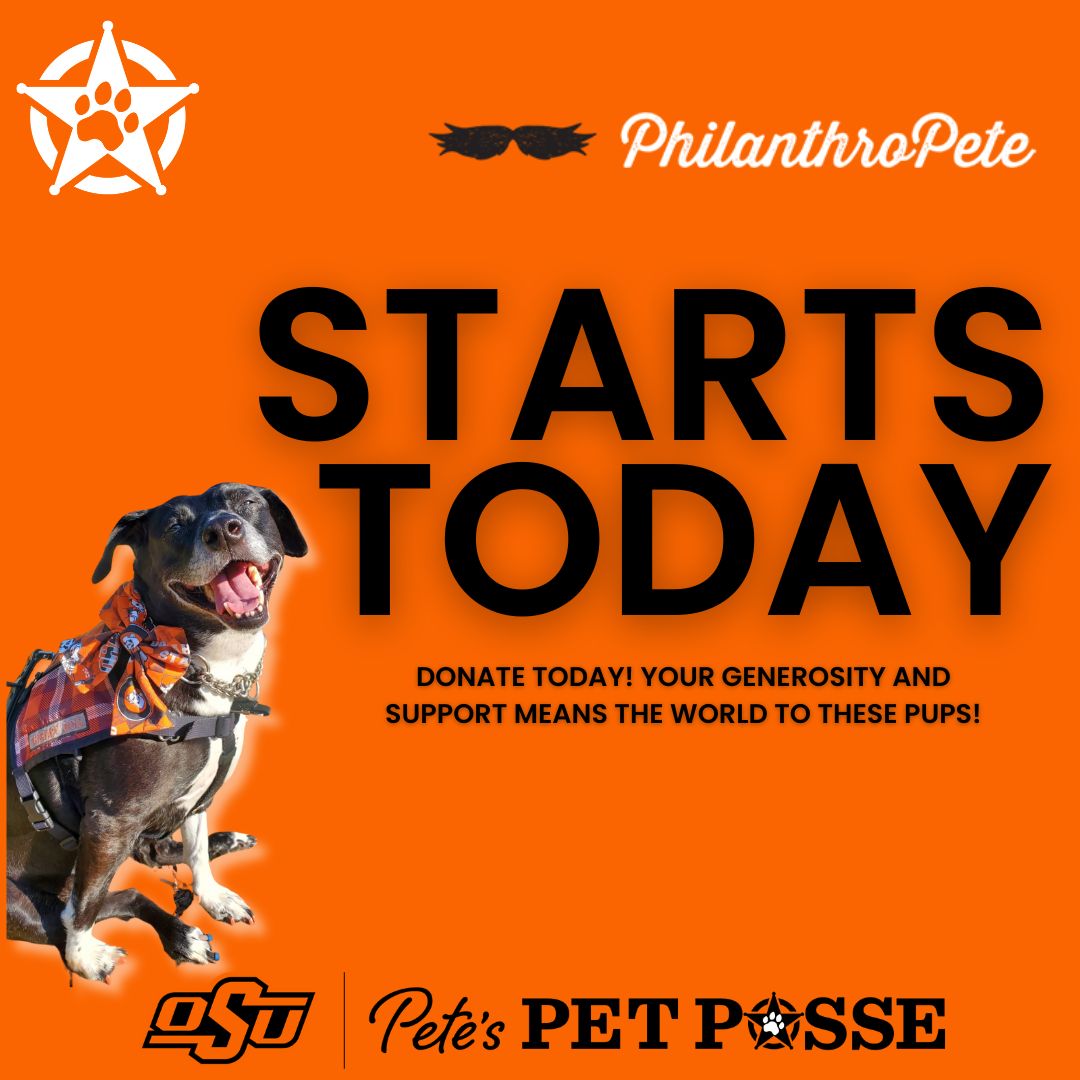 Pete's Pet Posse tweet media