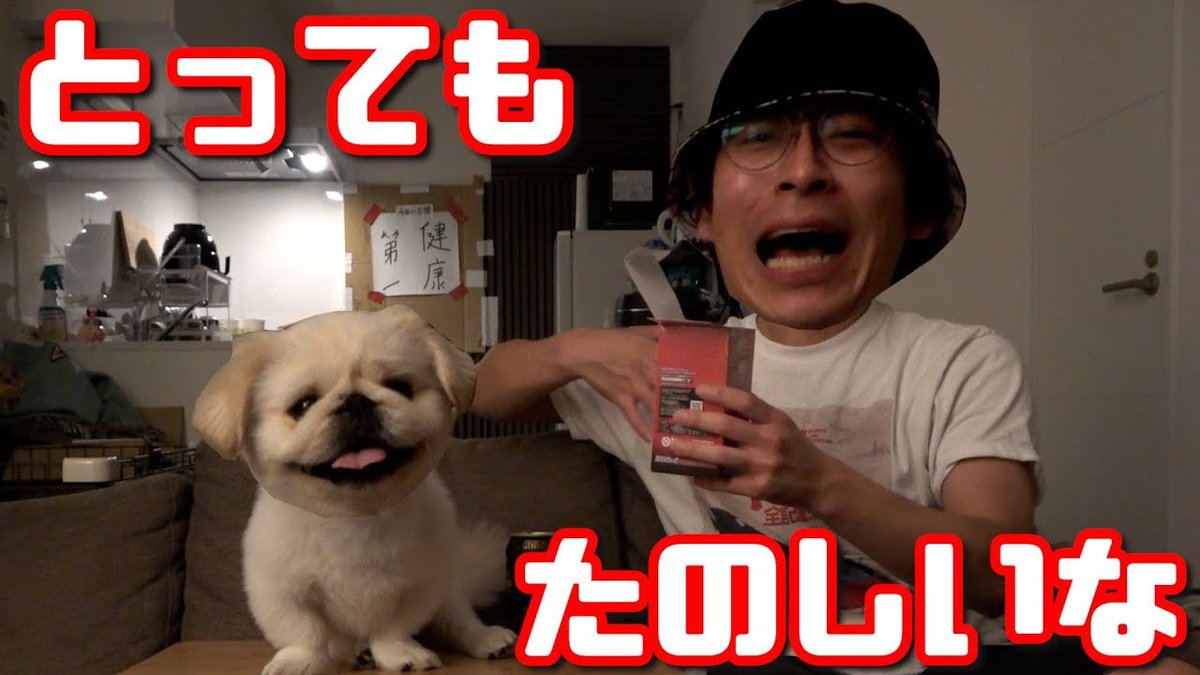 サブも更新してます

【ゆる開封】雑談しながらワンピースカードを開封するよ
youtu.be/xLZr1CKiCSs