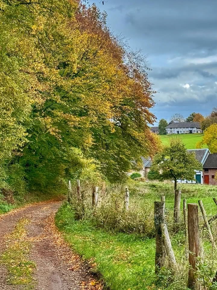 Bissen (buurtschap van Mechelen) #MagnifiekZL
📸: annelieskamphuis - Instagram