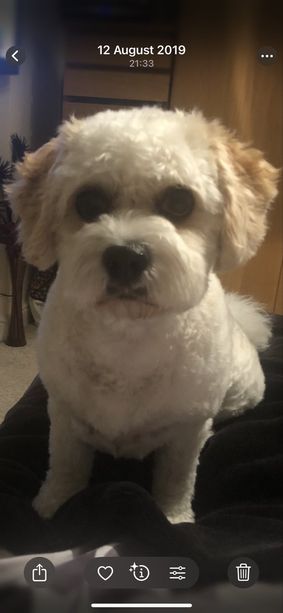 Kenny Howard tweet media