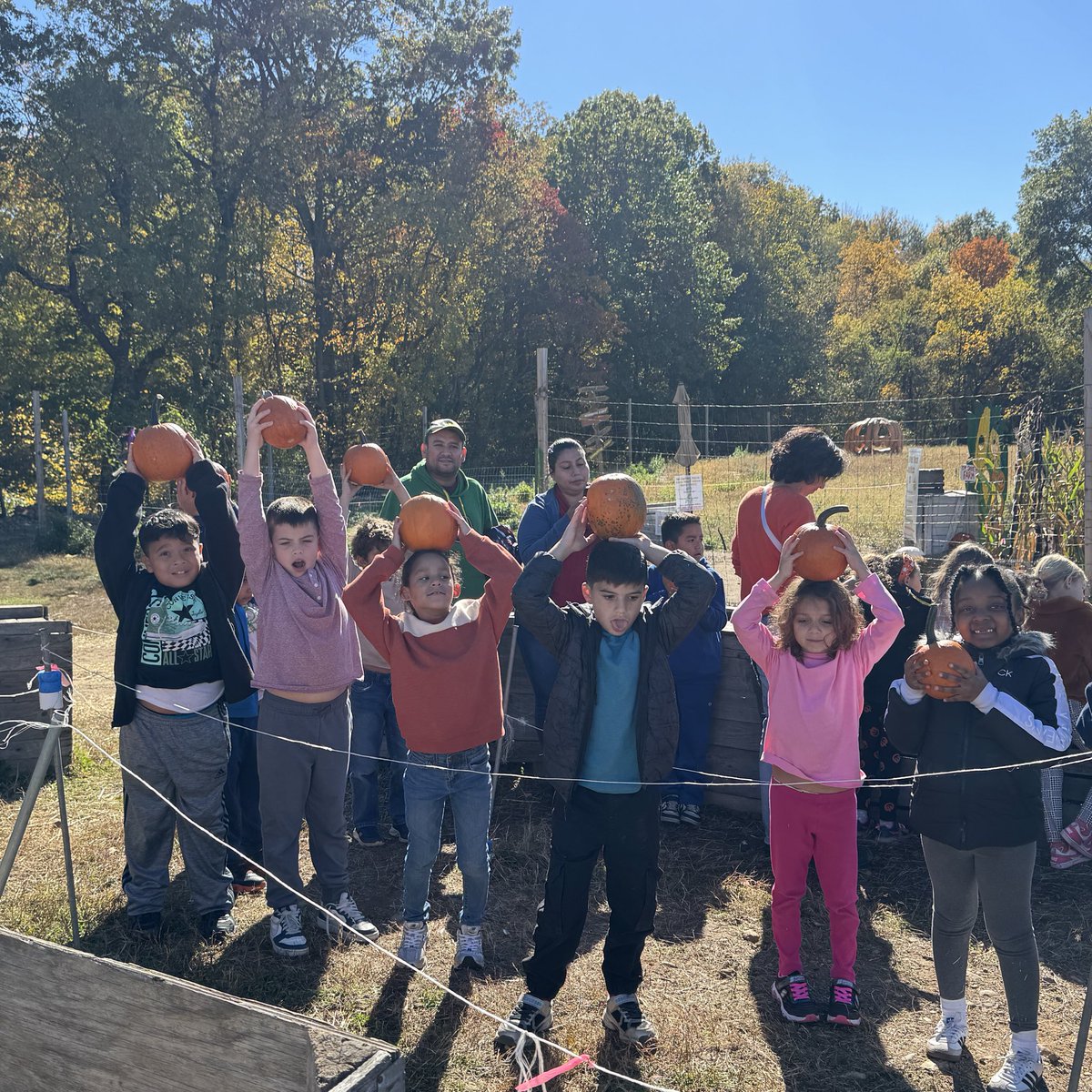 ufsdtarrytowns's tweet image. Morse School field trip fun! 🎃 Our second graders are enjoying a perfect fall day pumpkin picking at Davies Farm — smiles, sunshine, and pumpkins galore! 🍁🚌 #HorsemenPride #FallFun