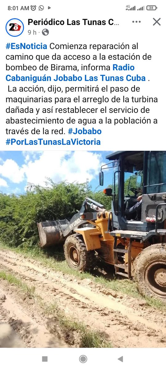 dir_estaltu's tweet image. 