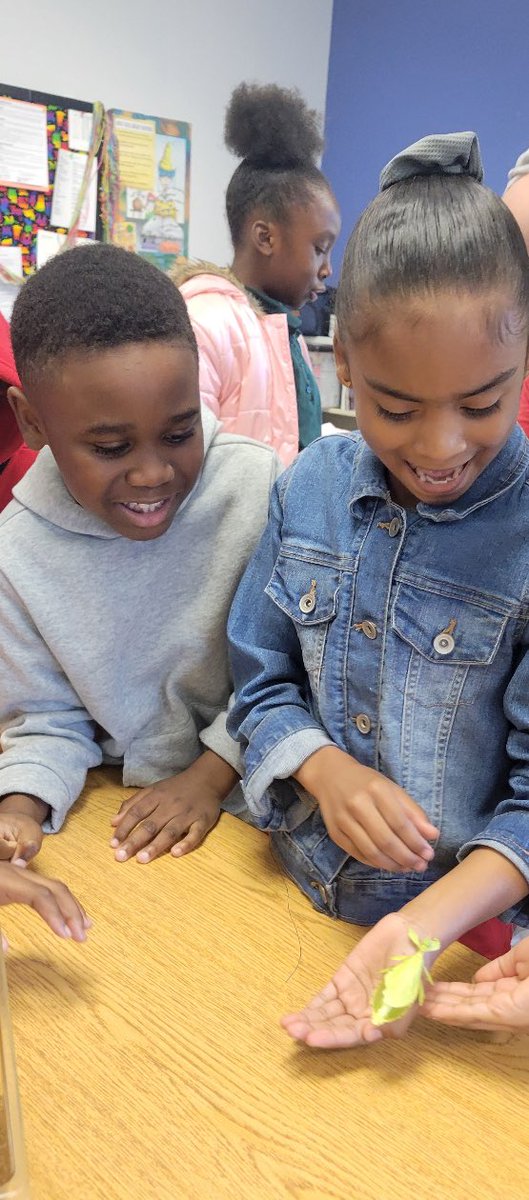 NewCollegePk_ES's tweet image. Today in TAG: 2nd &amp;amp; 3rd graders kept things crawling with curiosity in our &quot;Stop Buggin’&quot; unit! 🐛🕷️ Big thanks to Ben Trendle from UGA for bringing the bug facts to life! #Tagtime