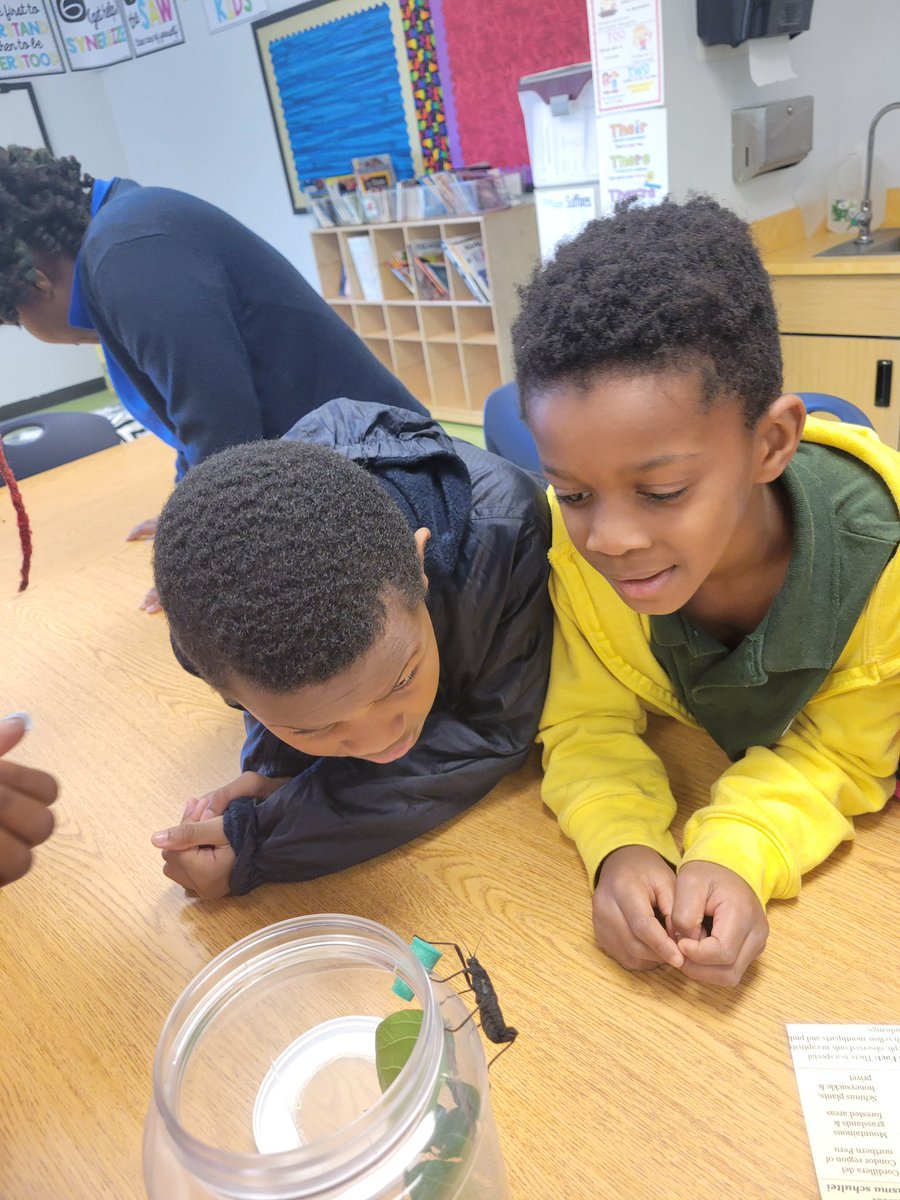 NewCollegePk_ES's tweet image. Today in TAG: 2nd &amp;amp; 3rd graders kept things crawling with curiosity in our &quot;Stop Buggin’&quot; unit! 🐛🕷️ Big thanks to Ben Trendle from UGA for bringing the bug facts to life! #Tagtime