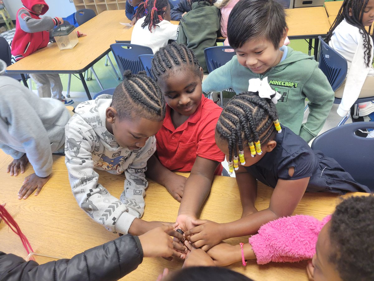 NewCollegePk_ES's tweet image. Today in TAG: 2nd &amp;amp; 3rd graders kept things crawling with curiosity in our &quot;Stop Buggin’&quot; unit! 🐛🕷️ Big thanks to Ben Trendle from UGA for bringing the bug facts to life! #Tagtime