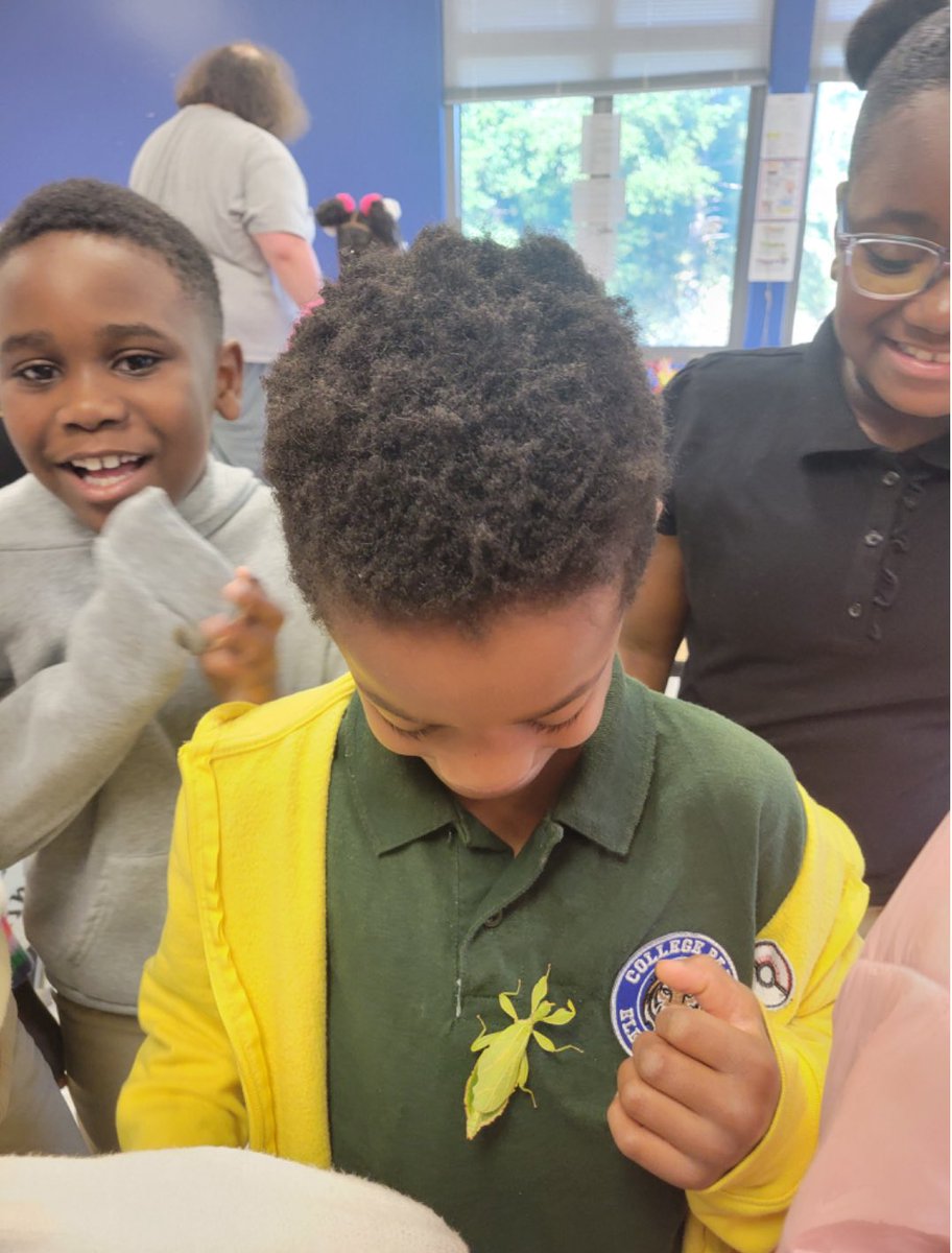 NewCollegePk_ES's tweet image. Today in TAG: 2nd &amp;amp; 3rd graders kept things crawling with curiosity in our &quot;Stop Buggin’&quot; unit! 🐛🕷️ Big thanks to Ben Trendle from UGA for bringing the bug facts to life! #Tagtime