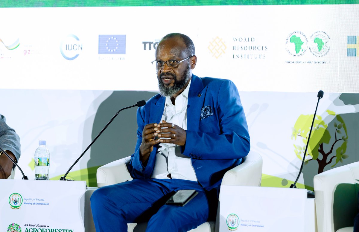 RwandaForestry's tweet photo. This afternoon, @EnvironmentRw and @RwandaForestry hosted a dynamic side event where a team of experts showcased key achievements in landscape restoration, biodiversity conservation, and community livelihoods.
#WCA2025🌳 https://t.co/qIQRCBKwsS
