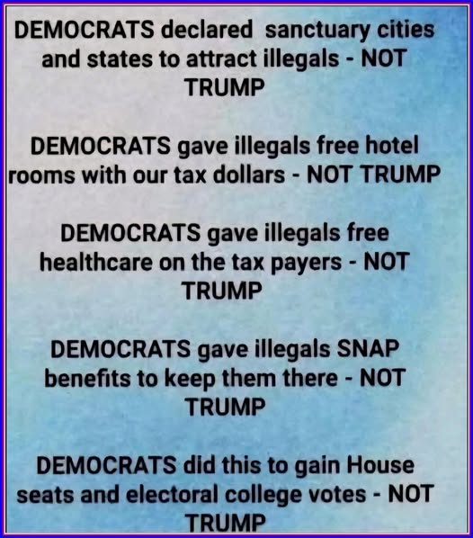 Do you think Democrats cater to illegals for any other reason but for their vote?