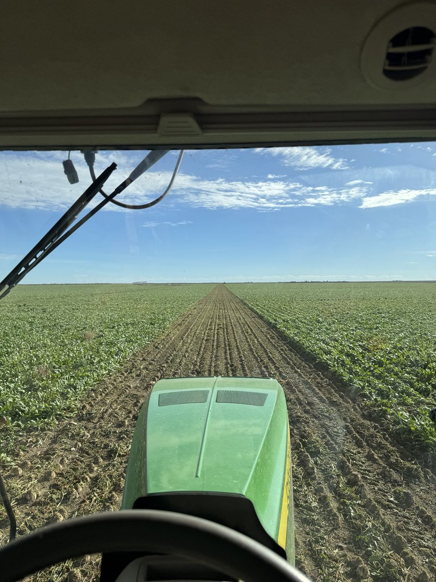 KumpfTim's tweet image. 