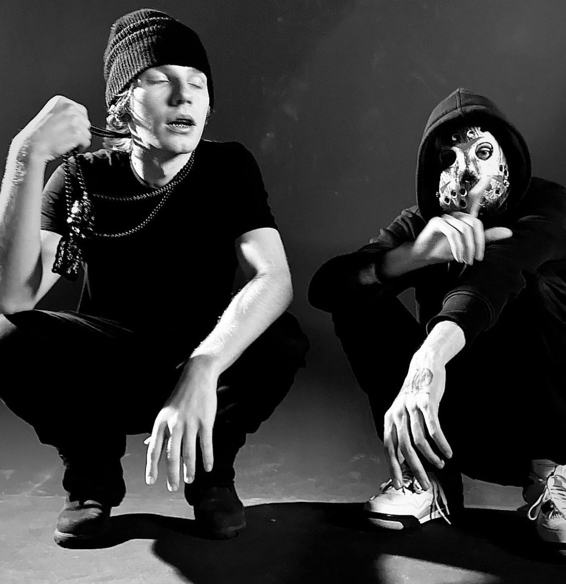 TurtleHype tweet media