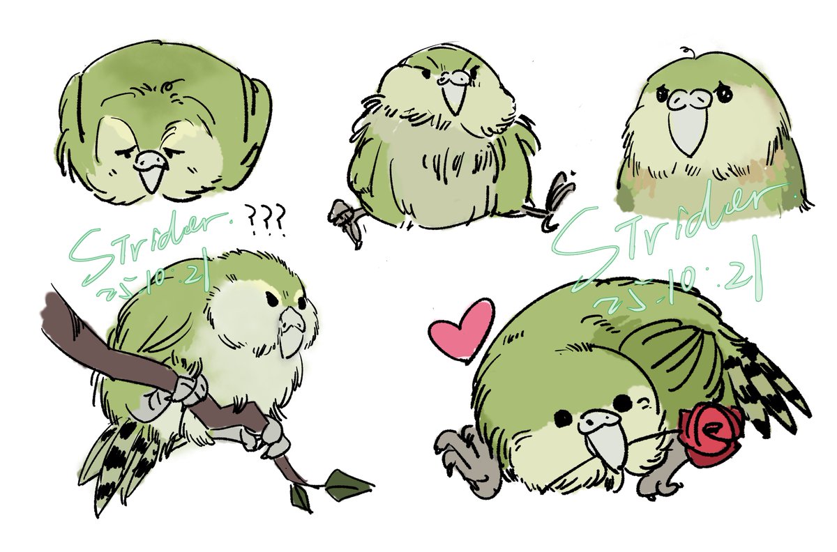 Strider01112's tweet photo. My Owl parrot sketch~🦜🦜🦜 
and recently I will open the relate comms service as well~lookingforward to it💚💚💚
#birdbot #sketchart #owlparrot #鳥 https://t.co/mr9lefksf1