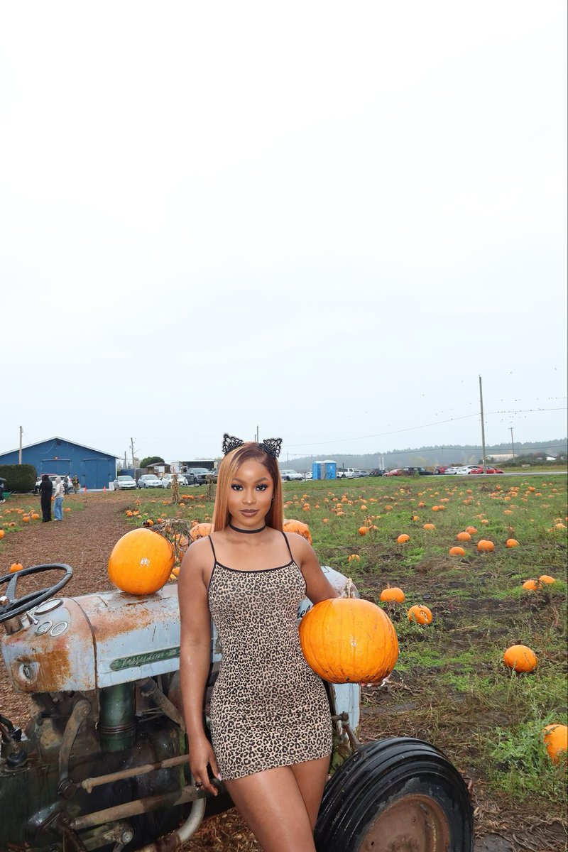 bella_okagbue's tweet image. Pumpkin girl 🎃🐾