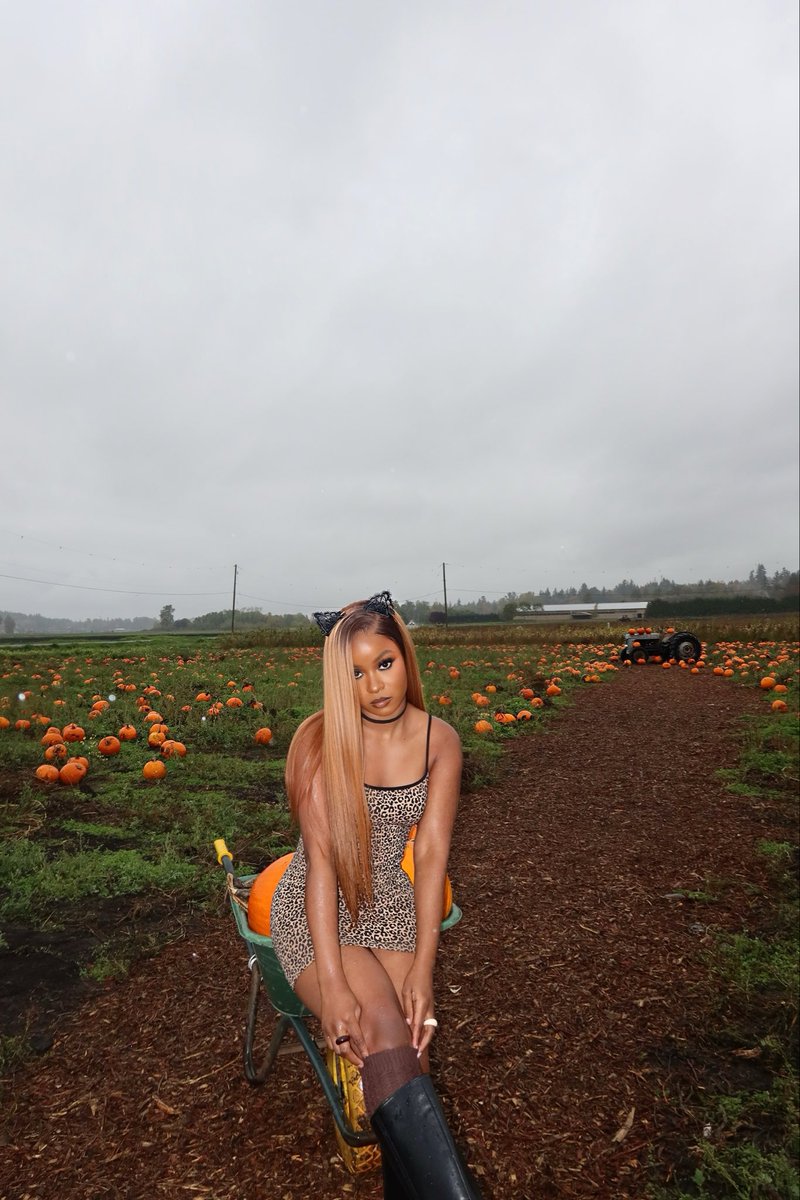bella_okagbue's tweet image. Pumpkin girl 🎃🐾