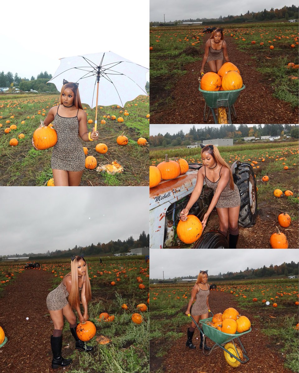 bella_okagbue's tweet image. Pumpkin girl 🎃🐾