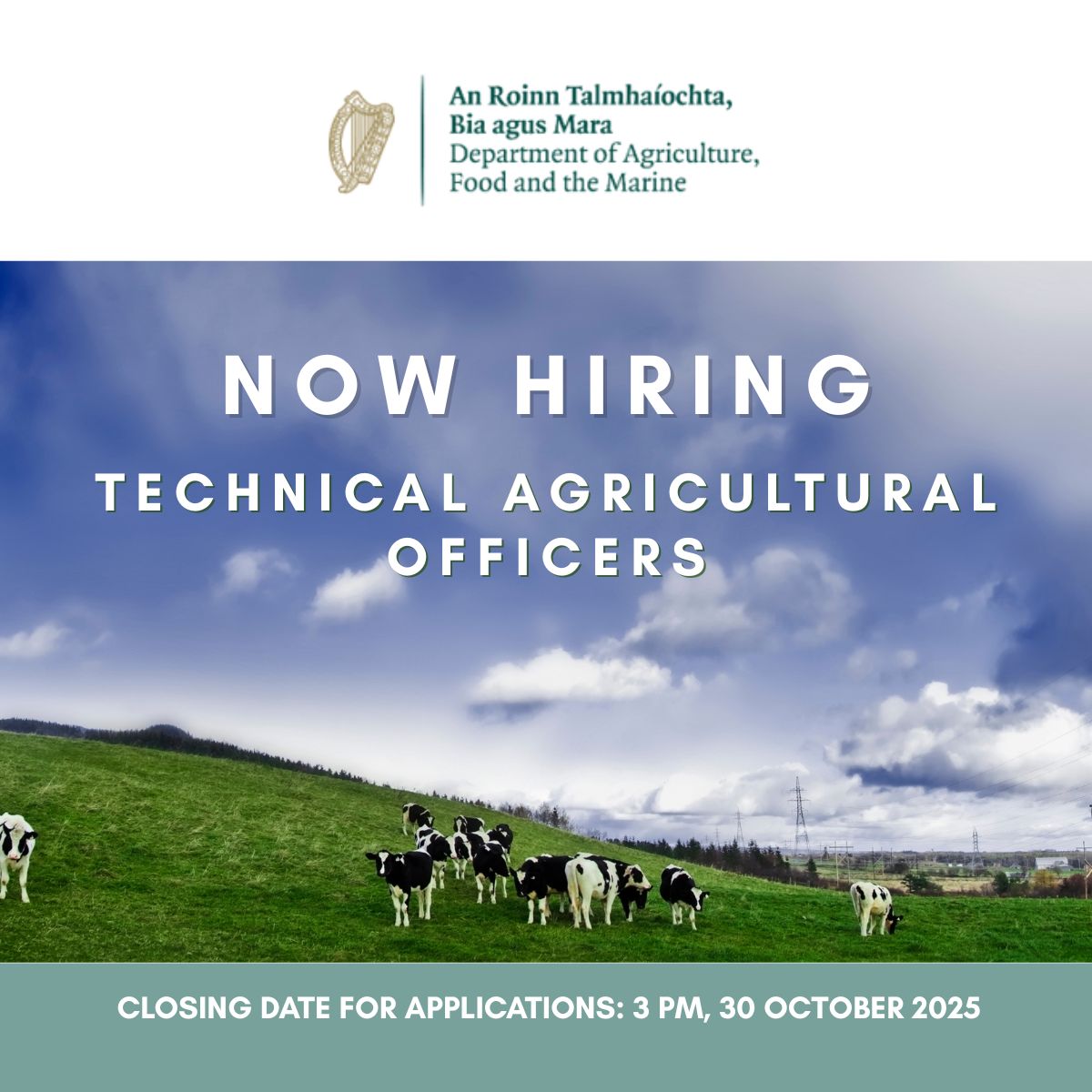 HortiJobsWorld's tweet image. The Department of Agriculture, Food and the Marine (DAFM) currently have vacancies for Technical Agricultural Officers (TAO) in a range of nationwide locations. Apply here - buff.ly/FSJO4Kf #DAFM #agrijobs #horticulturejobs