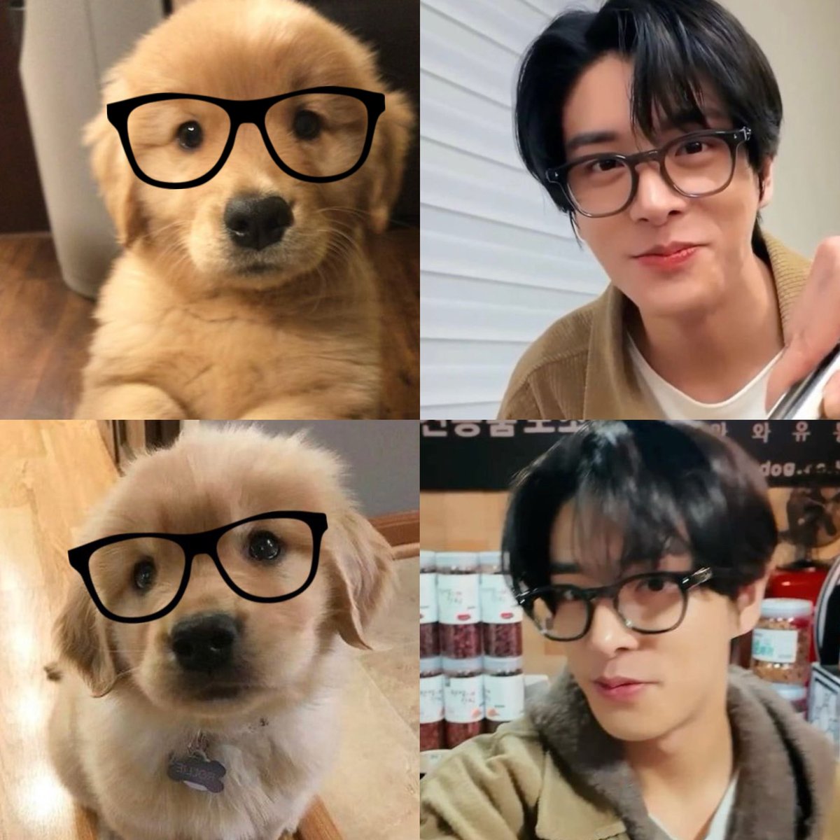 🐶👓

I vote for #enhypen on #2025MAMAVOTE