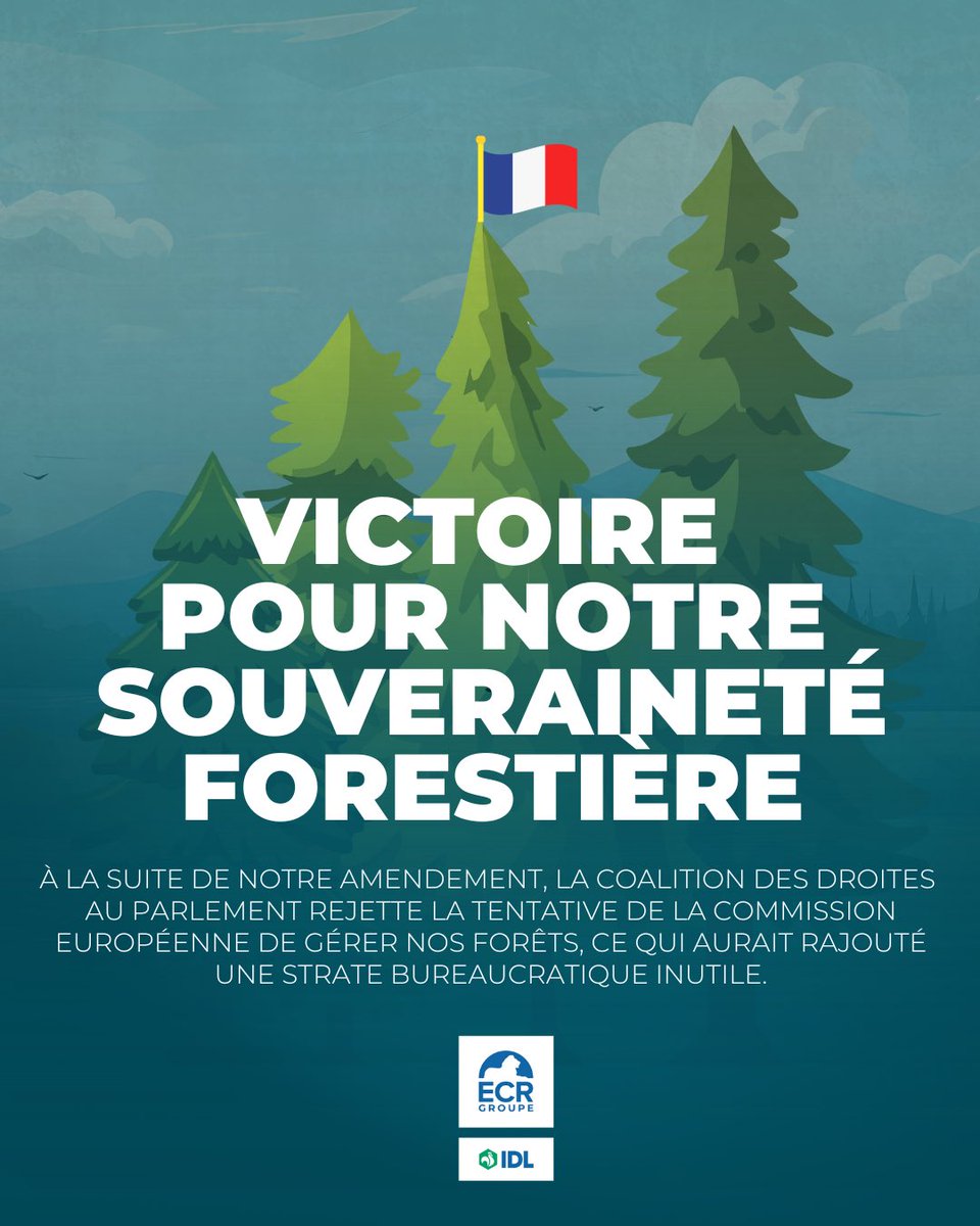 La gestion des forêts relève d’une compétence nationale et non européenne.

À la suite de notre amendement ECR et grâce à la coalition des droites sur ce sujet, le Parlement européen a rejeté la tentative de Bruxelles de centraliser la gestion forestière.
Cette mainmise aurait