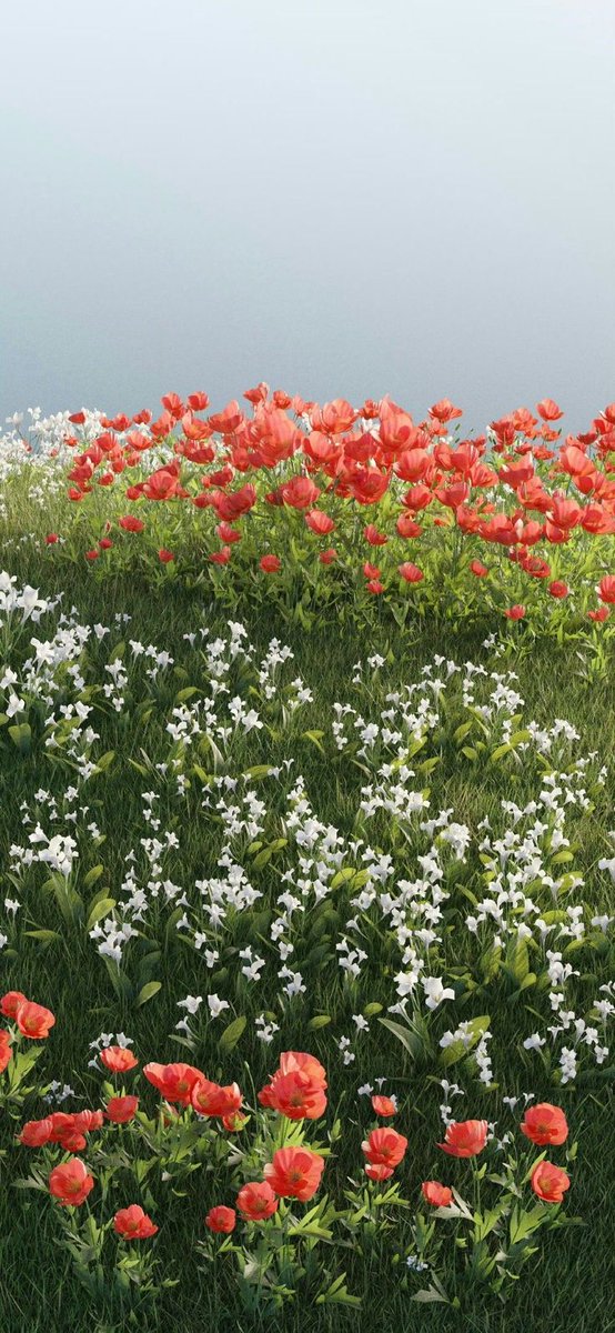 SnWalpaper4K's tweet image. 🌼A peaceful floral view.

#Wallpapers #iOS26