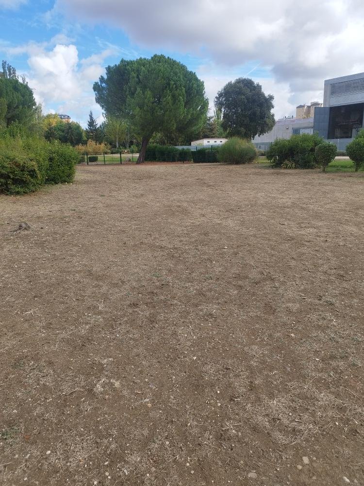 yustin's tweet photo. Me piden que denuncie el estado en el que se encuentra el nuevo parque canino de Villa de Prado y flipo con lo que me cuentan ⤵️

Hace casi dos meses que lo abrieron y carece de cualquier mínimo servicio:  

- No hay ninguna fuente para que beban los perros, teniendo que beber de los charcos que quedan después de regar (agua no potable) 

- No hay ninguna papelera para depositar las bolsas con sus excrementos, teniendo que poner los vecinos bolsas de basura para poder recogerlos (bolsa amarilla de la foto)  

- No hay ninguna luz, con lo que a las 6 y pico de la tarde no se puede estar porque no se ve nada  

- Antes esa zona era de césped, igual que todo el parque que hay alrededor y se está dejando secar, quedándose un parque de tierra (como todos los que hay en Valladolid)

- Hay plantas venenosas en el interior (adelfas) 

- Tampoco hay bancos y apenas hay sombras

- No hay carteles con las normas de uso

Por supuesto ya se han quejado hace tiempo por escrito y les dicen que "lo está mirando el departamento correspondiente", pero nada...
