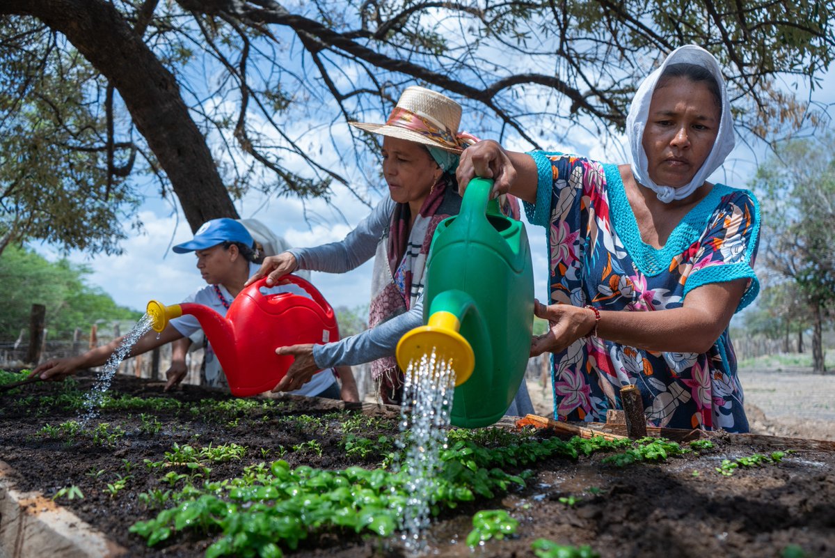 FriendsofEbA's tweet image. From composting in 🇸🇳 Senegal to silvopastoral systems in 🇳🇵 Nepal and agrobiodiverse farming in 🇨🇴 Colombia — the @FAO-@UNDP #SCALA programme is driving biodiversity-friendly #ClimateAction in agrifood systems 🌱

🔗 Read more: shorturl.at/o9jRf

#Adaptation #NbS…