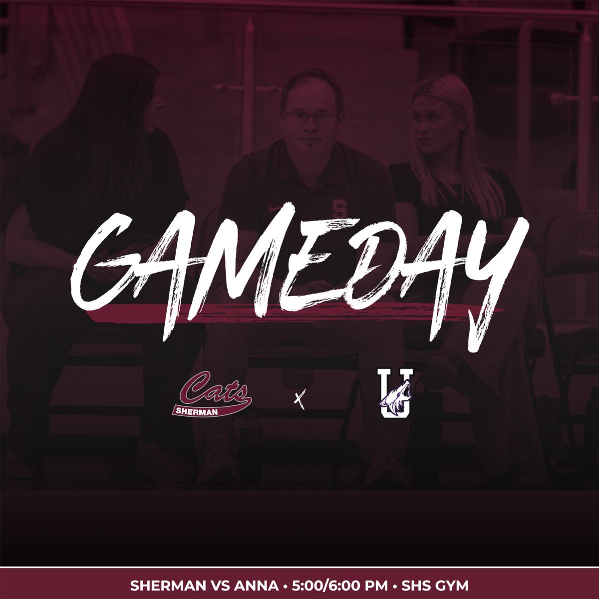Sherman Lady Cat Volleyball tweet media