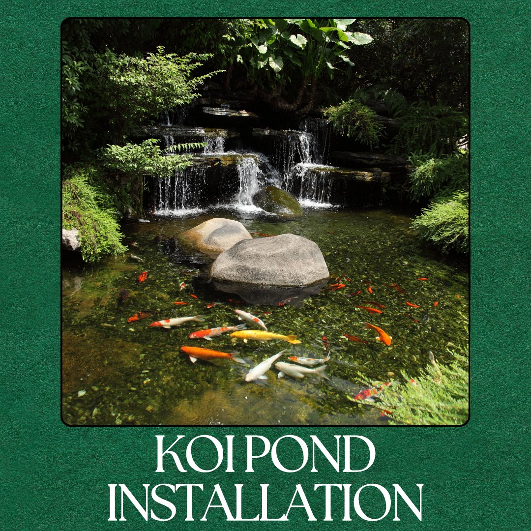We create stunning water features with expert #KoiPondInstallation, adding tranquility and value to your outdoor space. Let's design your perfect pond—reach out to us today.
philcampbelllandandlawn.com/about