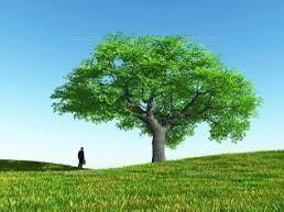 في مشوار الحياة، يجب ألا يدهشك تساقط الناس من حياتك من حين لآخر،
فهناك من تمحوهم الأيام وهناك من تسقطهم المواقف،
وحين يتقدم بك العمر ستدرك أن السعادة ليس في عدد من تعرف، بل في قيمتهم،
وستعلم أن الأوفياء فقط هم من رأى قلبك وطنًا فسكنوه،
وما سواهم لم يروه إلا محطة عبور.
#فيض_الوادي