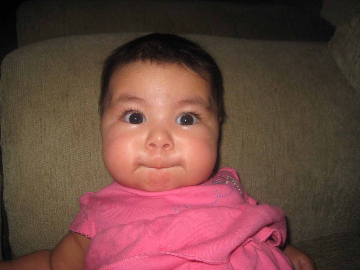 GR Longhorn VB Guess that Senior 2025 edition.  

This senior is easy to spot, she’s our Libero and digs up hard spikes.                   #🎱🏐🖤🤙