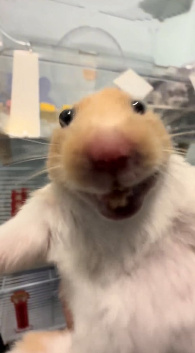 저 진짜 생카열려고 진짜 돈 열신히 모으고 잇어요 칭찬해쥬세요
