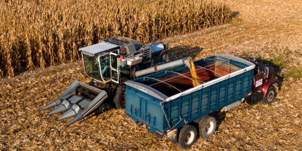 So far this season, yield trial results from the FIRST network seem to support anecdotal harvest reports that overall corn yields are lower than USDA estimates released last month. 

The difference could be enough to push the U.S. average corn yield below the record set in 2024,