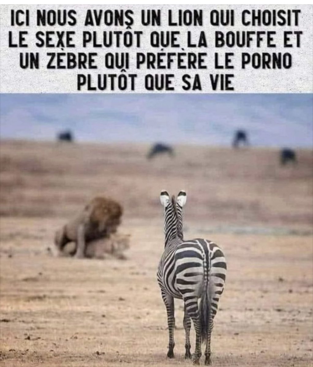 😭😭😭😭😭😭😭😭😭💀💀