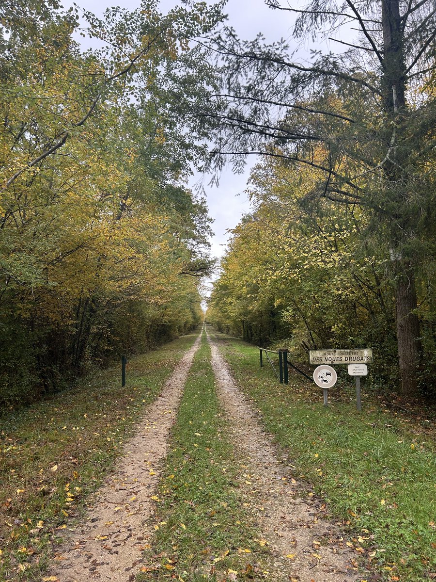 J’aurais même pu aller aux champignons 🍄‍🟫 en forêt de Chaource #ChassePartage

Dire que certains affirment ne pas trouver de forêts 🌳 où se balader à cause de la chasse …
<a href="/defendonschasse/">Défendons la chasse</a>