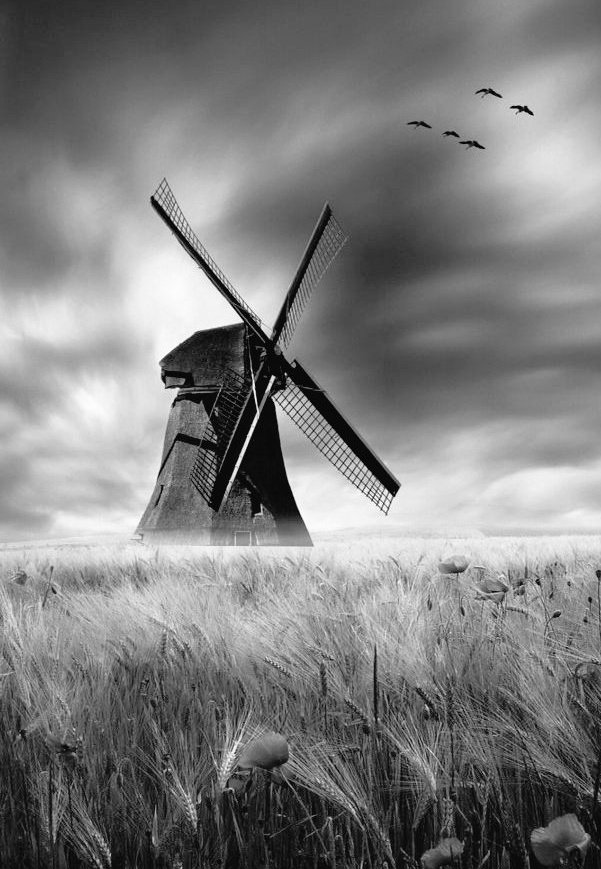 #BlackAndWhite