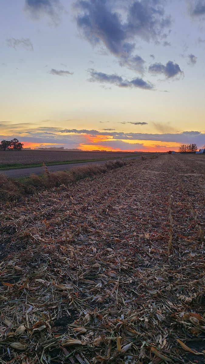 JohnOnLake (@johnsperry6) on Twitter photo This is what I am doing for the next few weeks.  Corn 🌽 harvest. This is what I am doing for the next few weeks.  Corn 🌽 harvest.