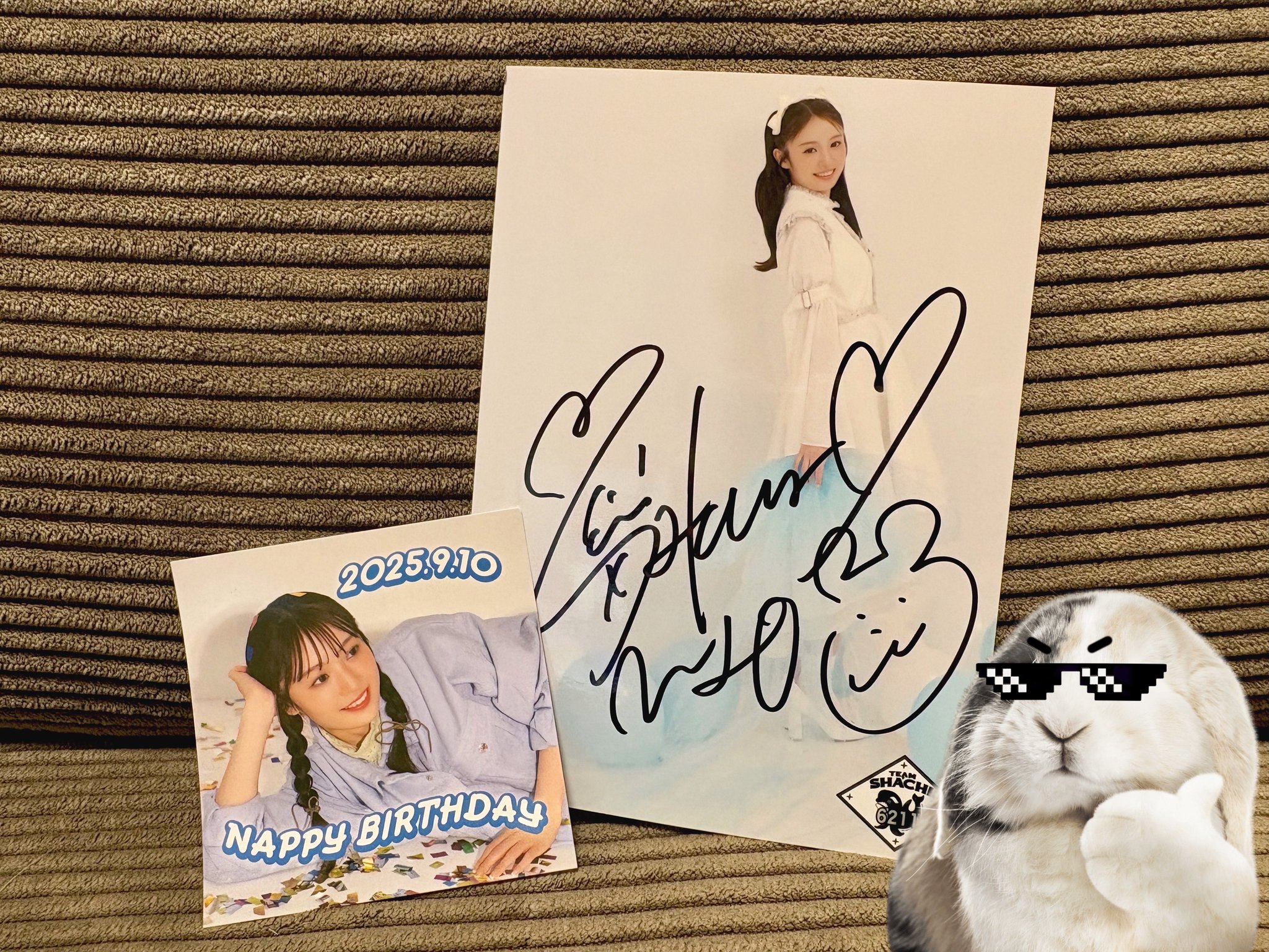 ちゃんもも！ on X: 