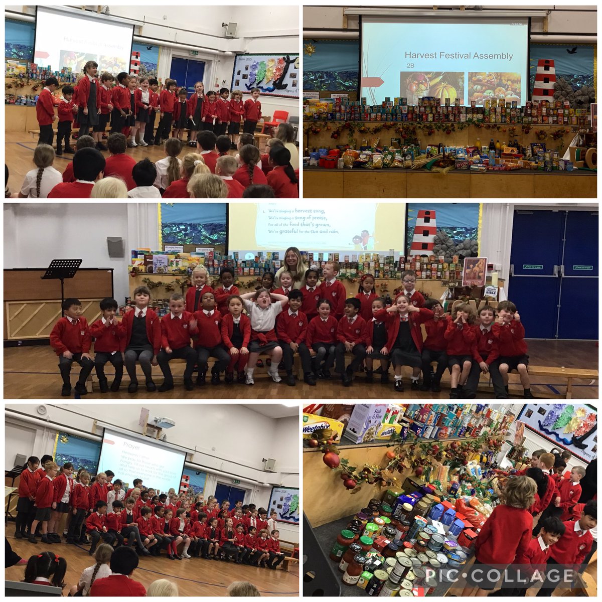 HughCatholic's tweet image. This week, 2B performed their harvest festival class assembly. They did a wonderful job in sharing the message about how important it is to give to those who are less fortunate and to thank farmers for producing our food!
#harvestfestival #classassembly