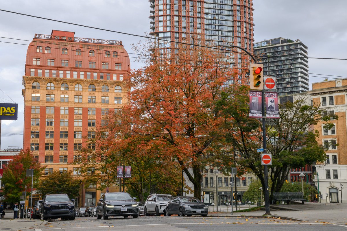 Зов перца tweet media