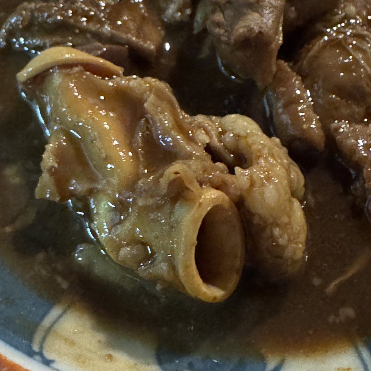 tinytinykingdom's tweet image. 火よ宇、鍋前でマロちゃんに黒いトコ以外をお願いしたら、過去一のハツモトが😍
#マロちゃんの体脂肪率が消費税以下で気になる
#体脂肪率が低いと風邪引きやすくなるから心配