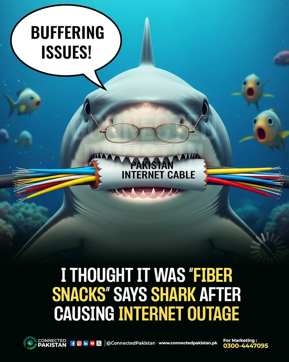 ConnectedPak's tweet image. A shark has “accidentally” bitten into Pakistan’s undersea internet cable — claiming it was frustrated with buffering!
As repair crews get to work, social media is flooded with memes about high-speed bites and deep-sea data drops. 😂

#ConnectedPakistan #TechHumor