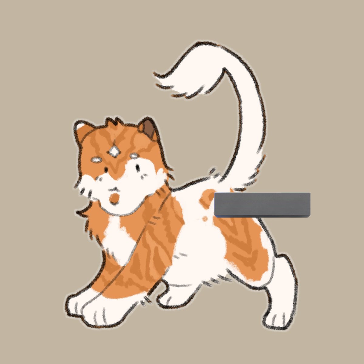 Ray 🐟🦭 tweet media