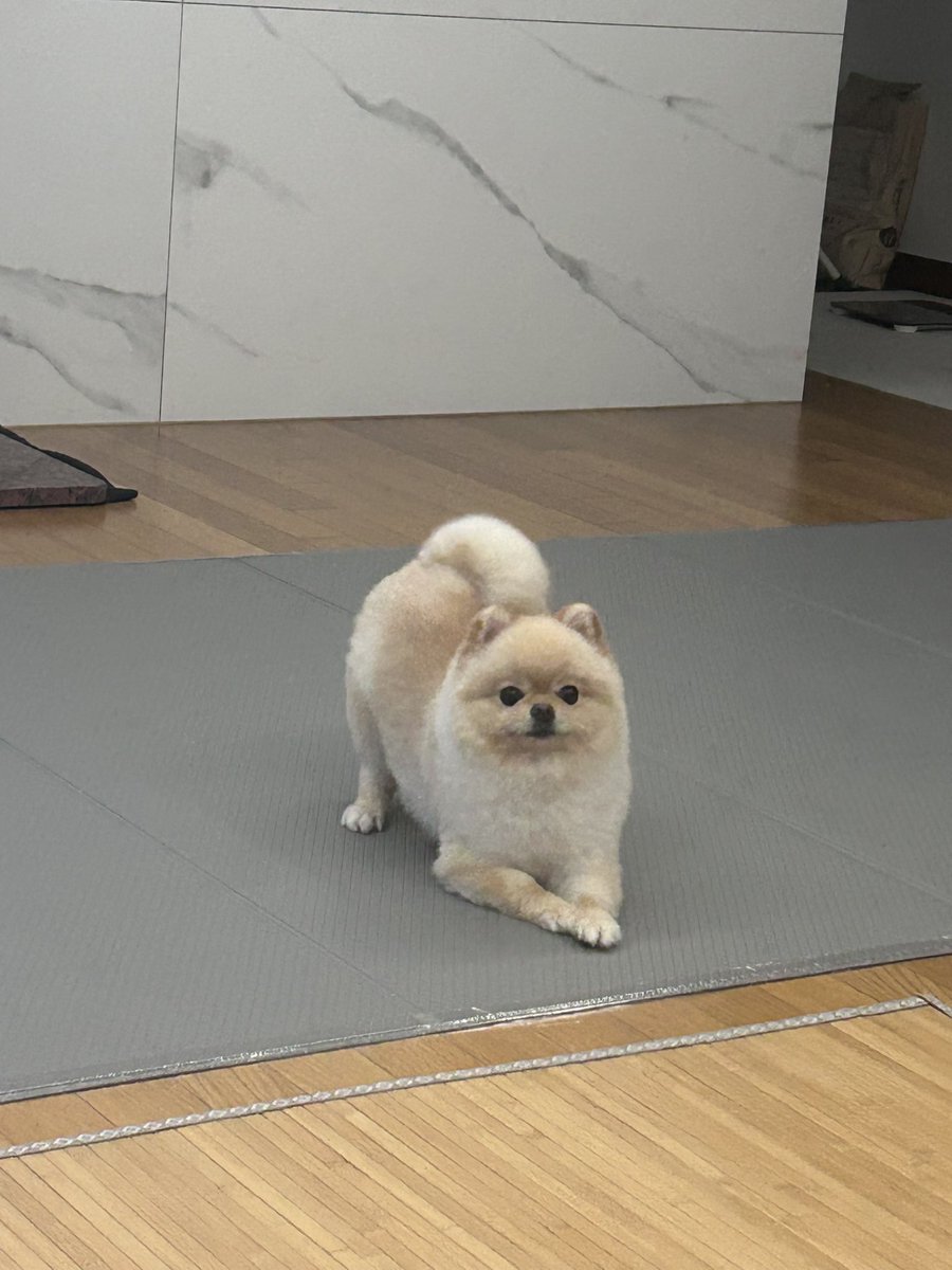 dheusbkc's tweet image. 기요미 봐주새오