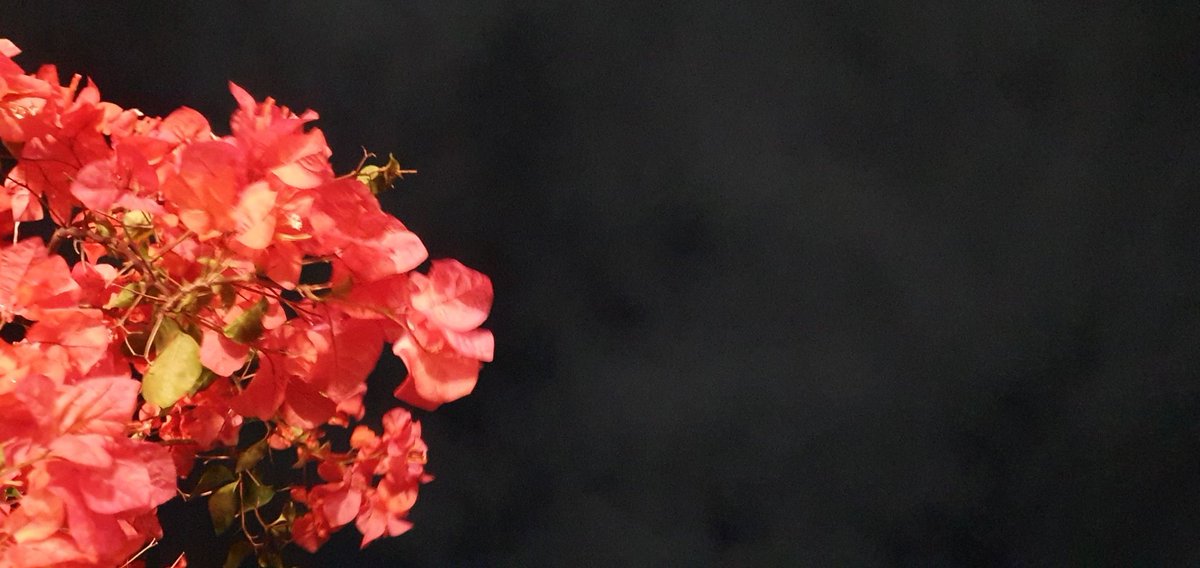 federer (@riduan) on Twitter photo 