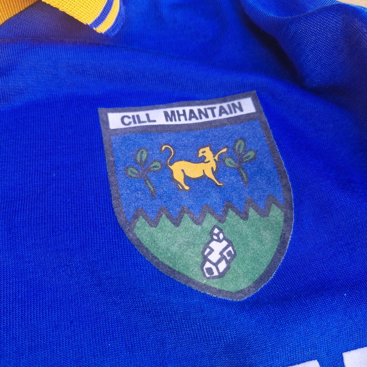 onside_jerseys's tweet image. Beautiful things emerge from the Garden of Ireland! @wicklowgaa

#gaa #wicklow