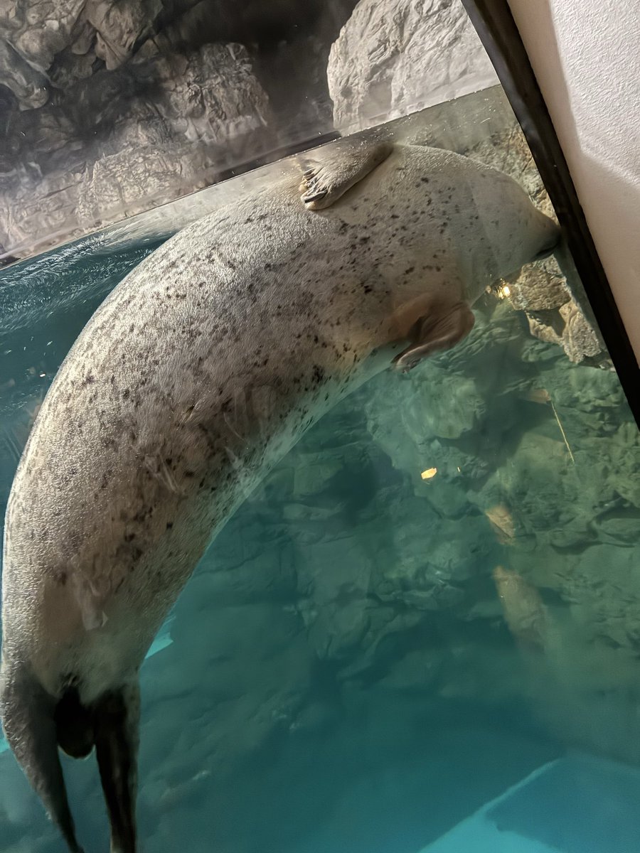 三浦 由美子 (@greendayo5963) / Posts / X