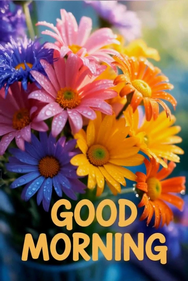 Good Morning and Happy Tuesday Everyone!☀️☕️😎🌸