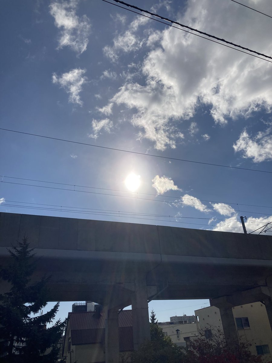 Good morning ☀️🕊️💕Afternoon 🍊
Evening 🍇 night ✨🦉